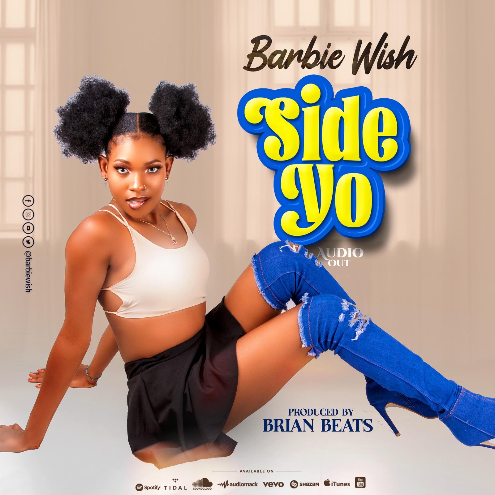 Barbie Wish Official